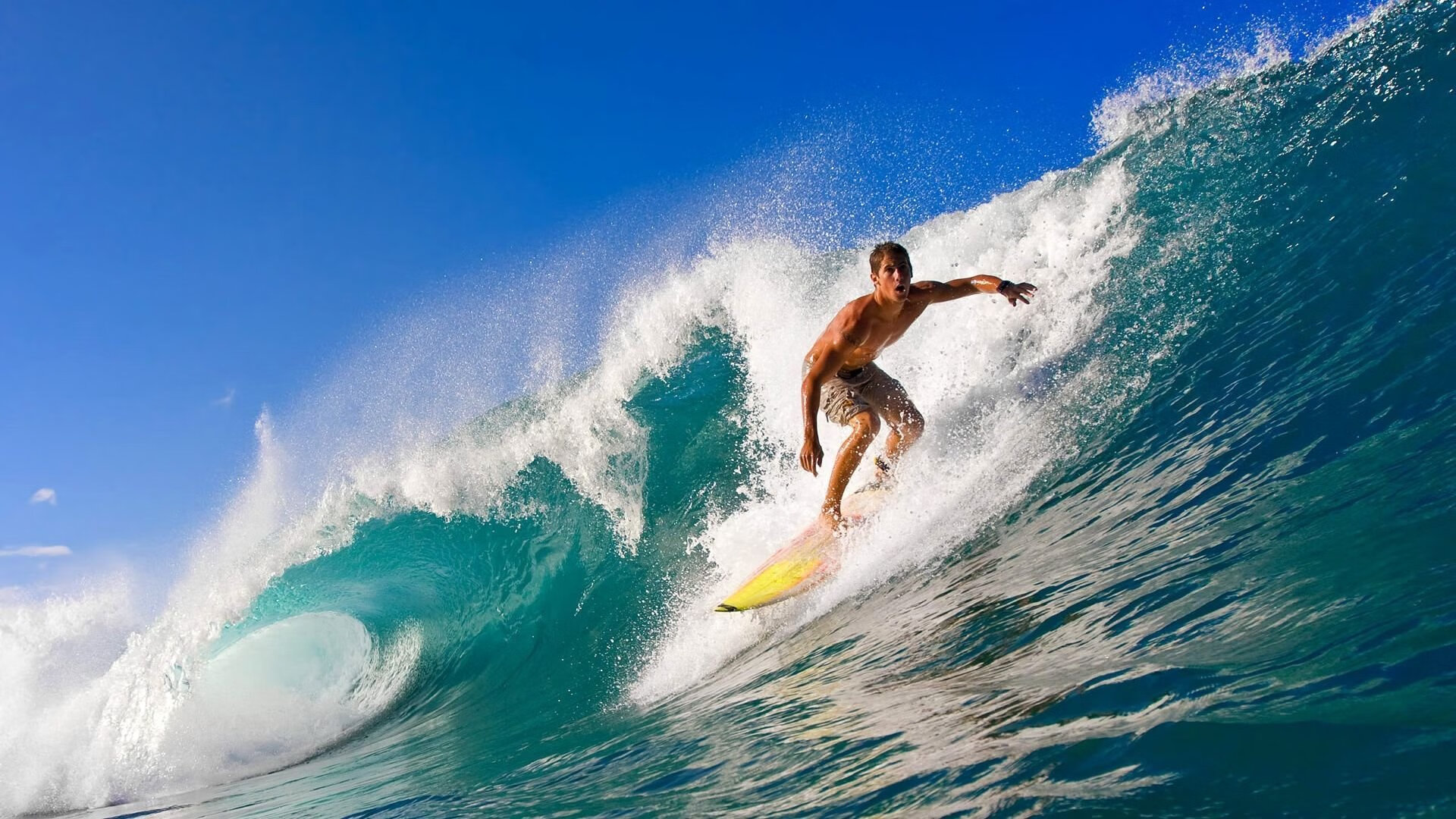 开云体育视频直播-赛道之外的完美演出，班凯罗的F1年度争冠之夜